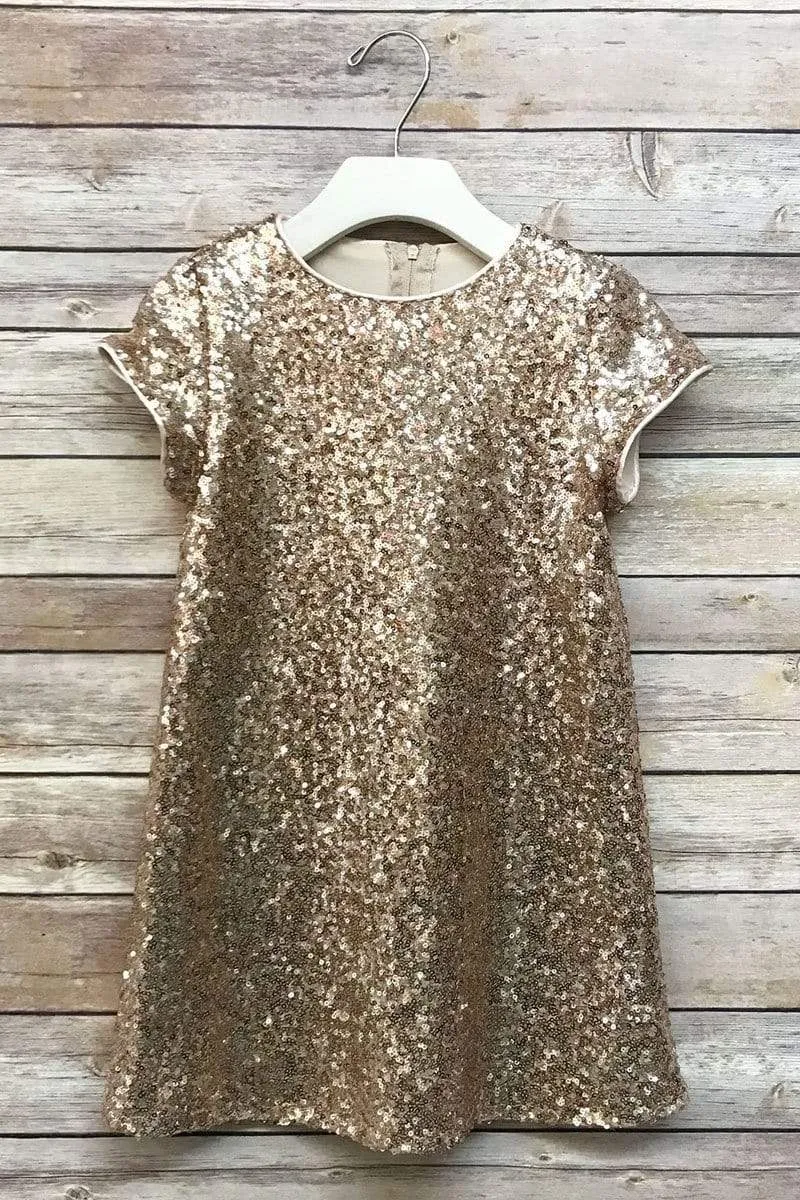 Glamorous Sequin Shift Dress Silver