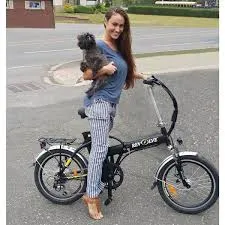 Handy Dandy- Folding Electric Bike