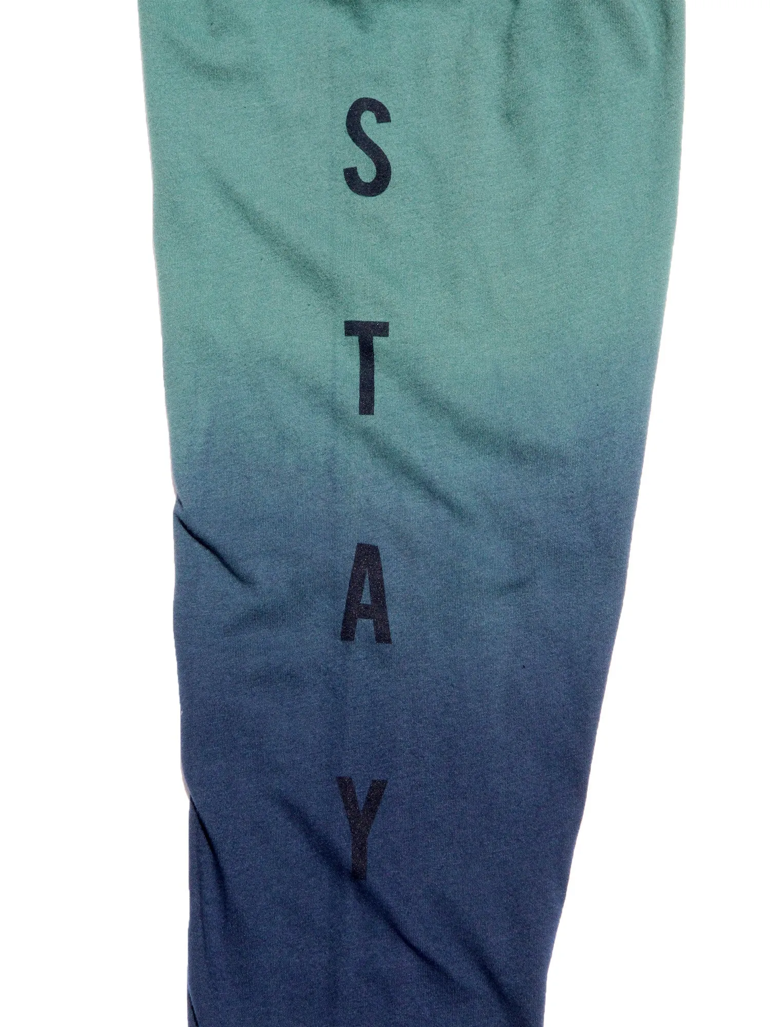 Up a Creek Bear in a Canoe Dip-Dye long sleeve graphic tee