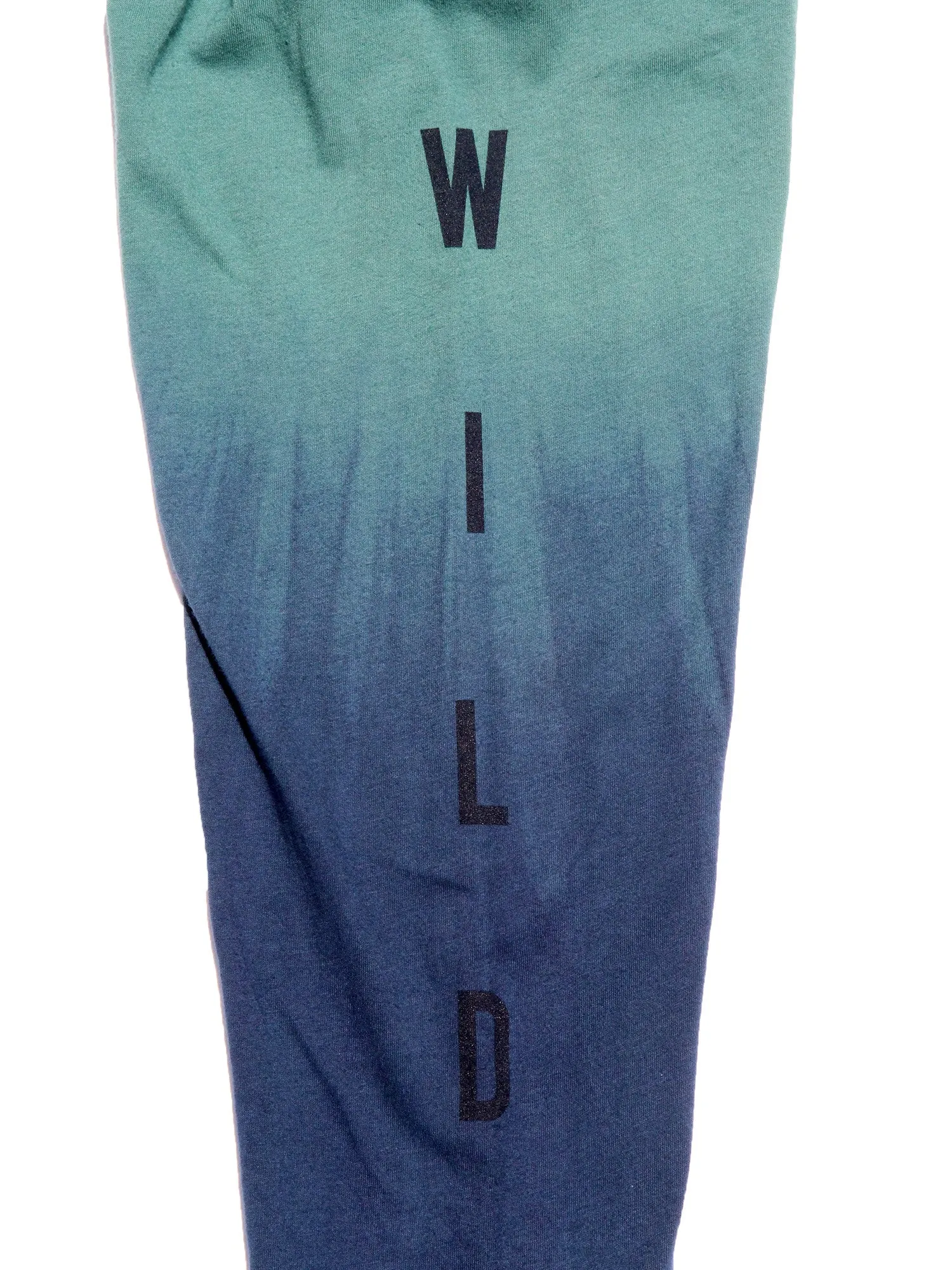 Up a Creek Bear in a Canoe Dip-Dye long sleeve graphic tee