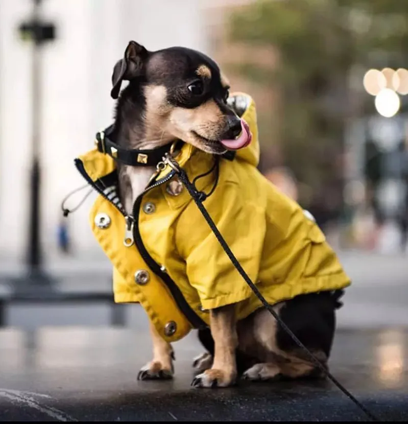 Waterproof Dog Raincoat